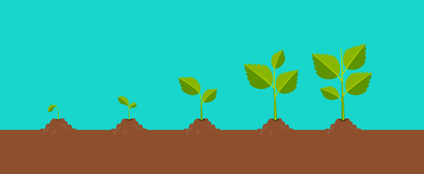 Illustration of five plants growing, symbolizing IT Help Desk support evolving with stages, much like SysAid's ITSM solutions. - SysAid