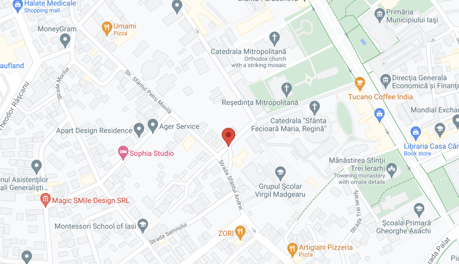 Map screenshot showing a close-up view of a location marked 'ager service' near various businesses in iași, romania.