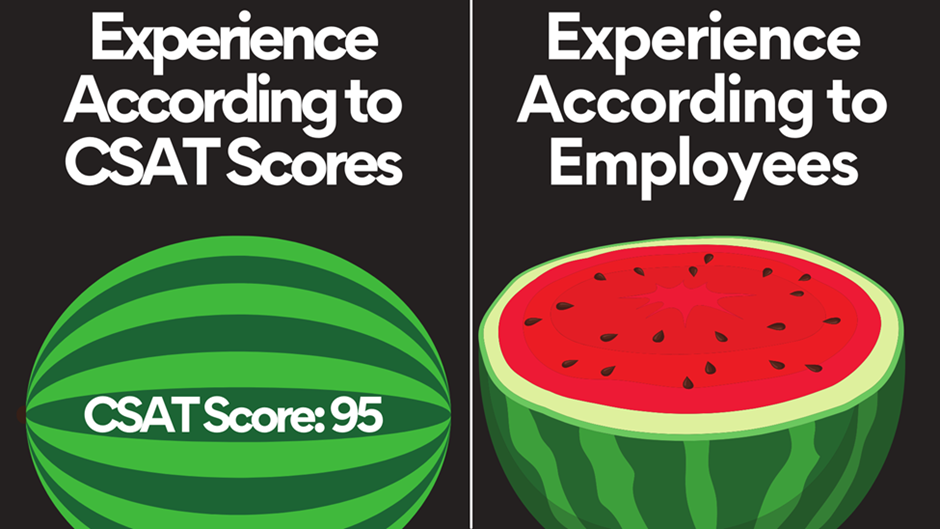 Split image comparing "experience according to csat scores" and "employee experience," depicting a whole green watermelon and a sliced watermelon with seeds, respectively.