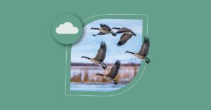 Four geese flying in formation over a winter landscape, framed within a circular cutout on a teal background with a cloud icon.