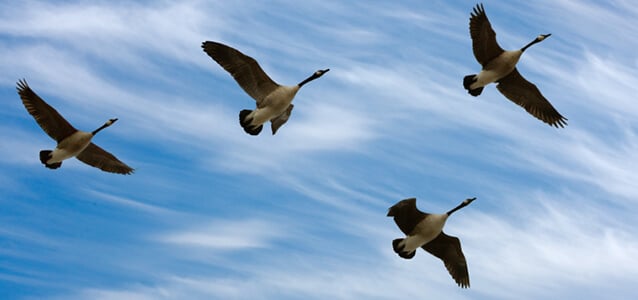 Migrating your service desk to the Cloud Migrating your service desk to the Cloud