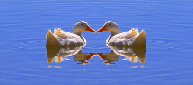 The Service Desk and Relationship Management: All You Need Is Love The Service Desk and Relationship Management: All You Need Is Love
